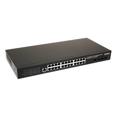 SW-DP-24G4X-2L
