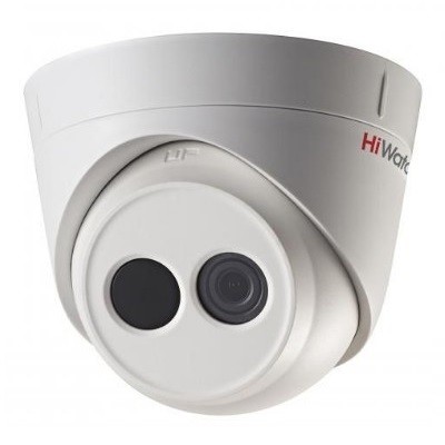 DS-I113 (2.8 mm)