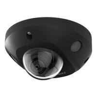 DS-2CD2543G2-LIS2U(2.8mm)/BLACK