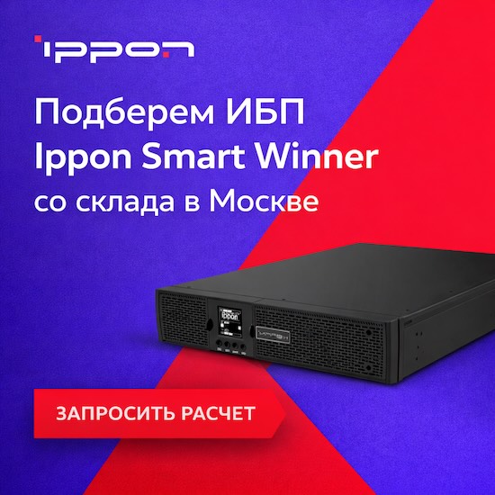 Источник бесперебойного питания Ippon Smart Winner II 3000 2700Вт 3000ВА черный (1192982)