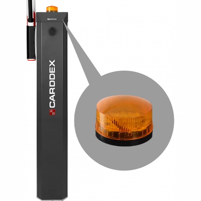 LS-01