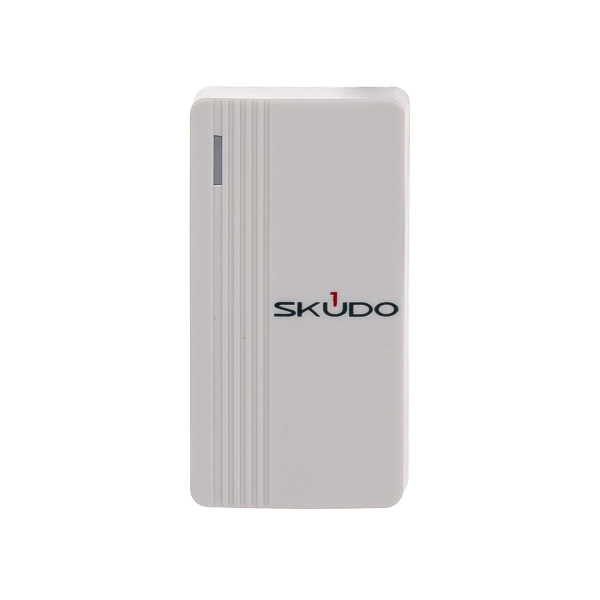 (SK-R-254) SK-RP100E (белый)